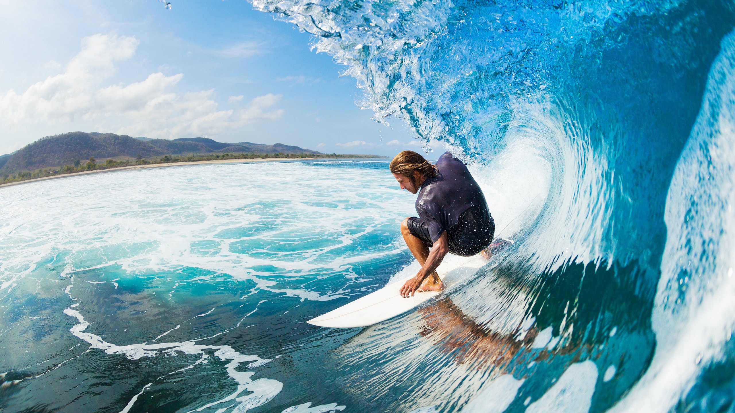 蛙泳赛场荷兰选手技压群雄,荷兰蛙泳运动员